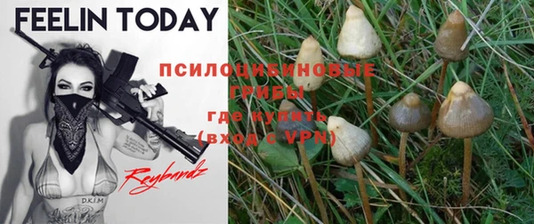 хмурый Михайлов
