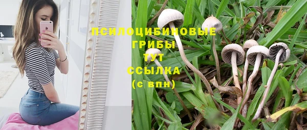 хмурый Михайлов