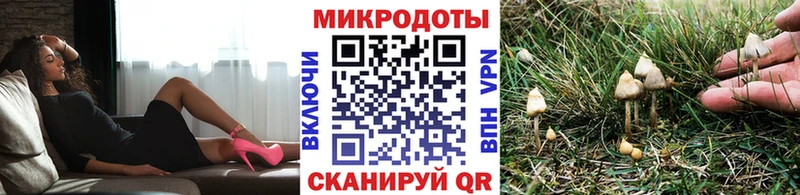 купить наркоту  Звенигово  Галлюциногенные грибы MAGIC MUSHROOMS 